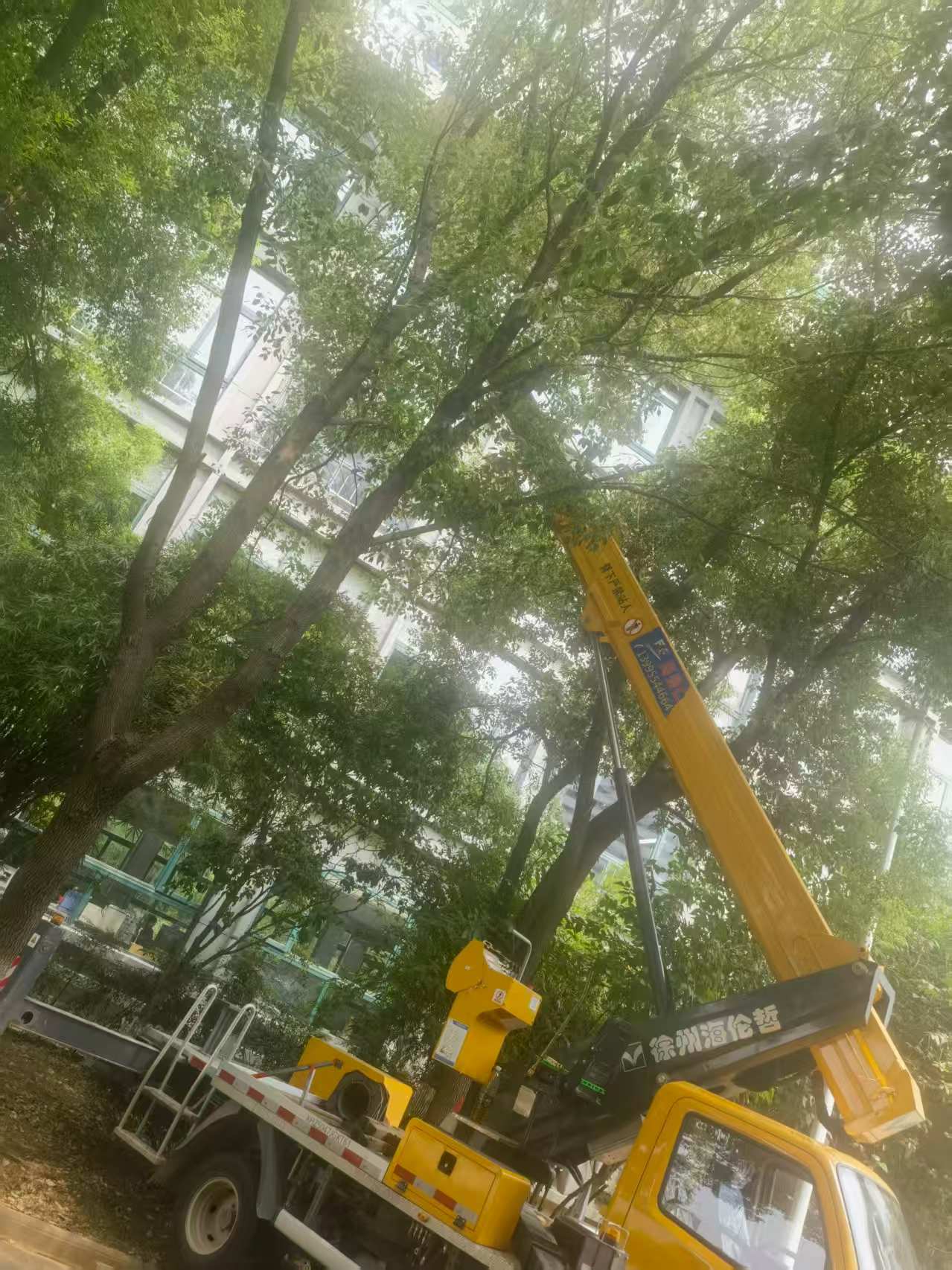 18米直臂升降車載人修剪樹枝、園林施工現場